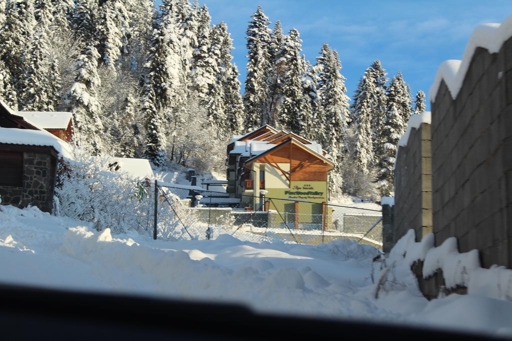Pine Wood Apartment Vyšné Ružbachy Exteriér fotografie