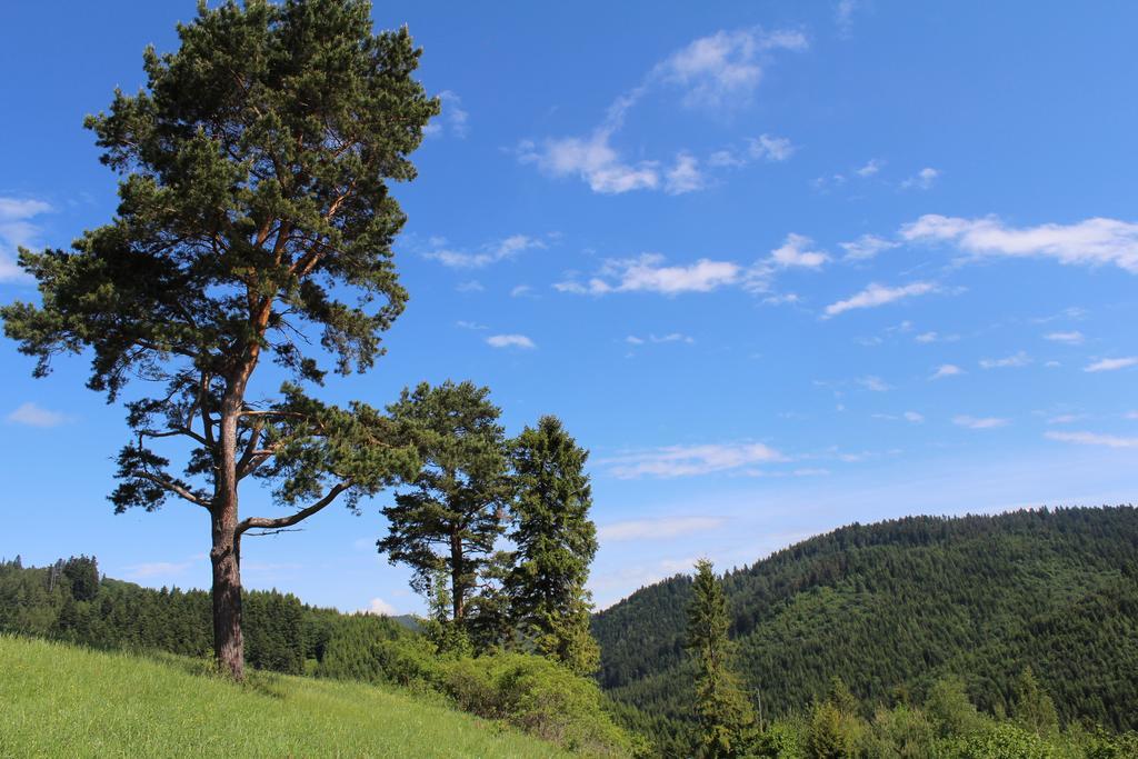 Pine Wood Apartment Vyšné Ružbachy Exteriér fotografie